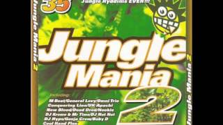 Jungle Mania 2 CD 2 Unmixed (1994)