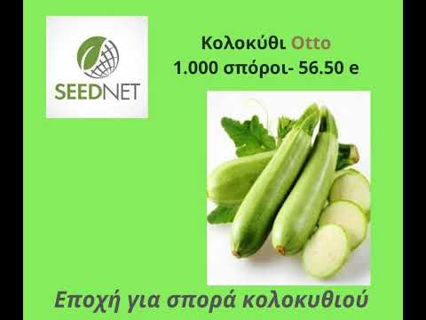 , title : 'Σπόροι κολοκυθιού στη Seednet- Zucchini seeds'