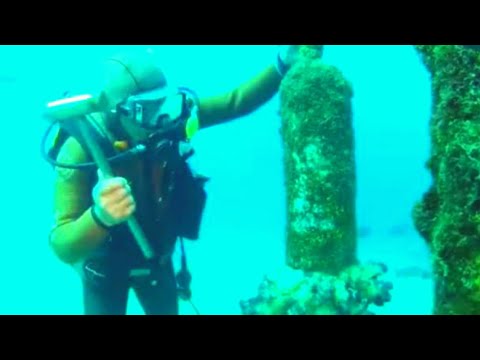 Man Goes Underwater And Rings Submerged Shrine’s Bell. What He Summons Will Leave You Jaw Dropped Video