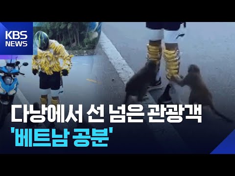 원숭이 유인하려 온 몸에 바나나를…선 넘은 관광객에 베트남 공분
