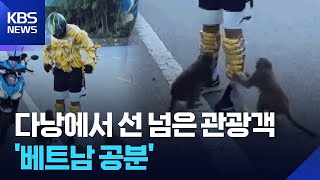 원숭이 유인하려 온 몸에 바나나를…선 넘은 관광객에 베트남 공분