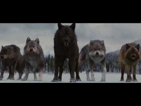 Финальная битва - Сумерки Сага Рассвет часть 2 (2012)