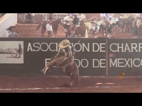 Campeón Estatal Mexiquense en Jineteo de Yegua 2023 Francisco Pita Sánchez