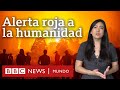 5 Revelaciones Del Informe De La ONU Sobre Cambio Climático Y Qué Dice Sobre América Latina