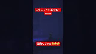 こうしてくれるわぁ〜www #shorts