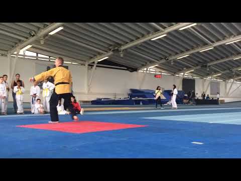 London Open Poomsae 2019 - Master Peter Johnson’s Hansu