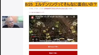 8/25  エルデンリングってそんなに面白いの？