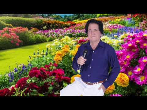 02   TORTURA DE AMOR