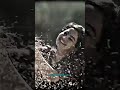 Harikatha Vlog Flowers 4k Video BMWORLD P5r Subscribemychannel