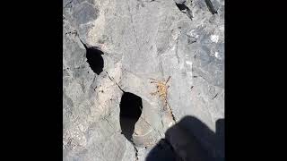 Mersin - Bozyazı | Softa Kalesi