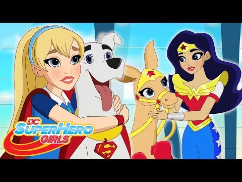 Hecho Polvo (Parte 1 & 2) | Animales molestos (Parte 1 & 2) | DC Super Hero Girls Brasil