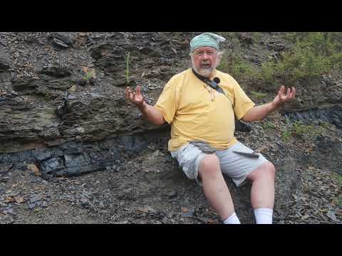 Pennsylvanian coal and the "Age of Oxygen"