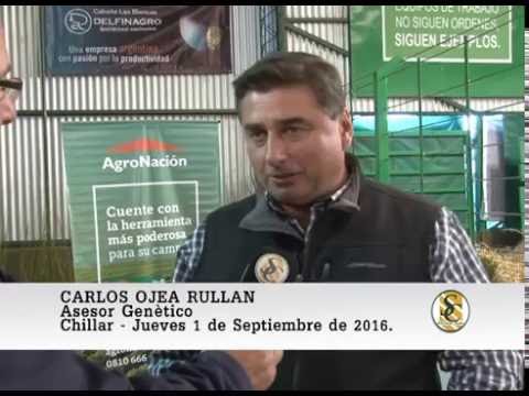 01-09-16 Nota Carlos Ojea Rullan - Cabaña Las Blancas - Chillar.