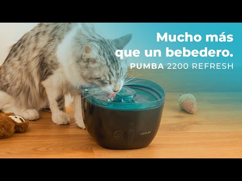 Смарт-поилка Cecotec Bebedero Pumba 2200 Refresh (CCTC-09561)