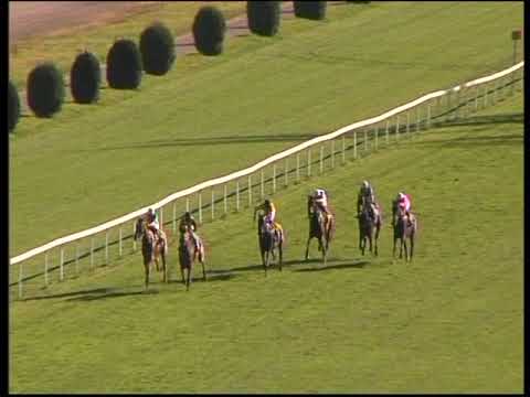 15. MEMORIÁL HARRYHO PETRLÍKA