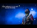 TERE HAWAALE LO FI MIXArijit Singh Duet Shreya Ghoshal Pritam Amitabh Bhattacharya
