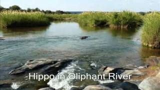 Drive in Kruger National Park (Part 6 of 7)