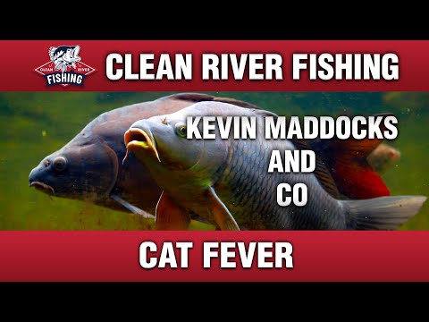CRP141 KEVIN MADDOCKS & CO - CAT FEVER