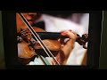 Peter And The Wolf Why The Violin Represents Peter