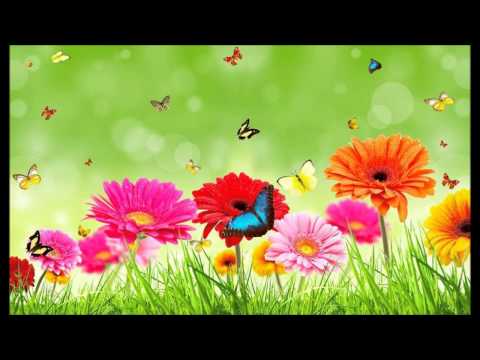 Kenny Rogers  -  The Vows Go Unbroken