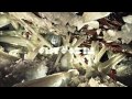 Antoine Clamaran - Live Your Dreams (feat ...