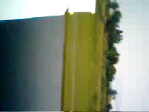 Pouso do SR-20 em Videira (SSVI)