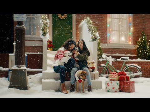 Dan + Shay - Take Me Home For Christmas (Official Music Video)