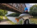 My First Session On The Canal It Ends In A Fishing Frenzy