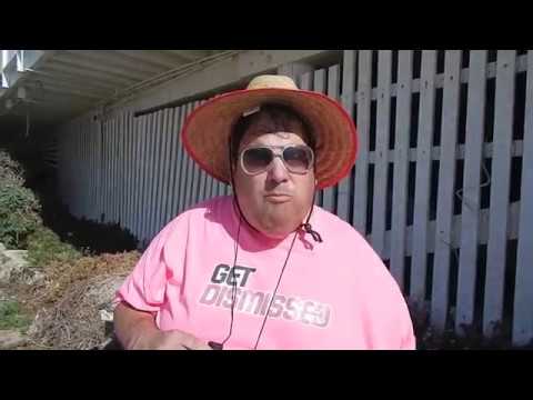 The GetDismissed Man – The Sexy Life Guard