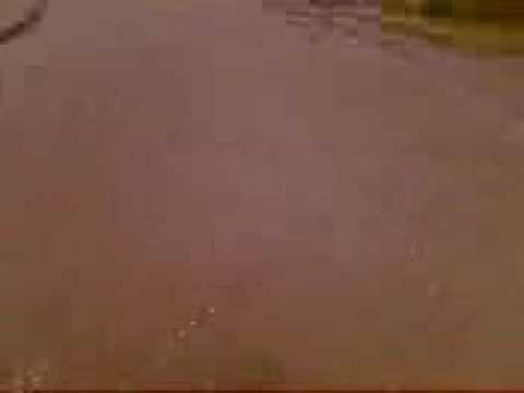 crazy Juppi leverkusen bürrig