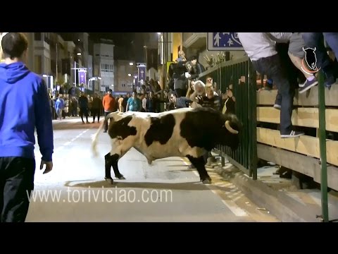 Torazos de Toropasión en Rincón de Soto (7 de Abril)