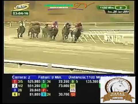 LA RINCONADA 2 CARRERA, DOMINGO 03 DE ABRIL DEL 2016