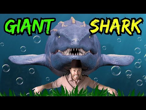 Wir begeben uns auf ein Riesenhai-Abenteuer | 🦈 Kurze Pause mit Entdecker Riley