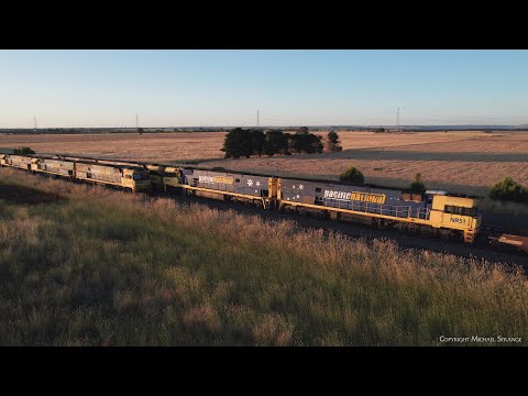 7MP5 & 4PM6 Pacific National Container Freight Trains Cross (7/1/2023) - PoathTV Australian Railways
