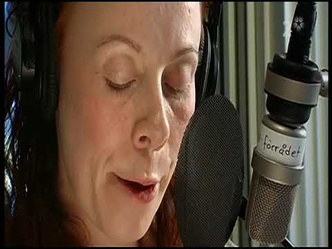 K Special - Detta förbaskade Public service... SVT 2008-01-04