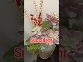 INDOOR PLANTS||Golden Pothos,Money Plant,Succulent,Cactus,Flamingo Lily||Personal Vlogs