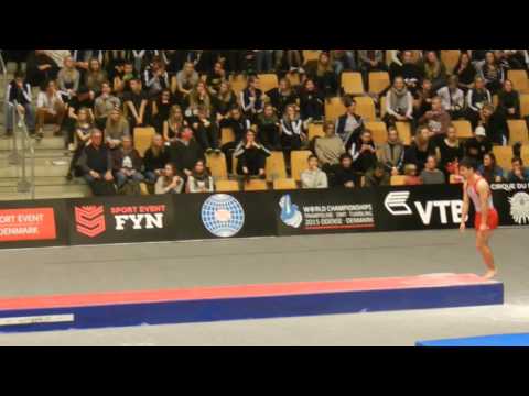 DEN Adam Matthiesen Prelim 2nd Pass 2015 World Champs Tumbling