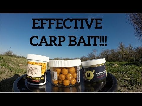 HOW TO CATCH CARP: Using BOILIES, HOOKBAITS, and CORN