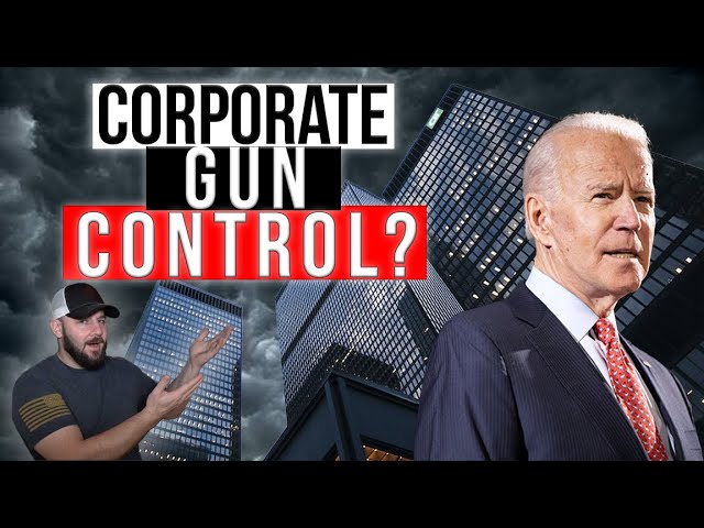 Corporate Gun Control… Leftist are amping up pressure for CEO’s to pursue Gun Control agendas…