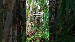 Download lagu Jika hidup adalah sebuah perjalanan #motivasihidup #kutipan #motivasihidupyanglebihbaik mp3