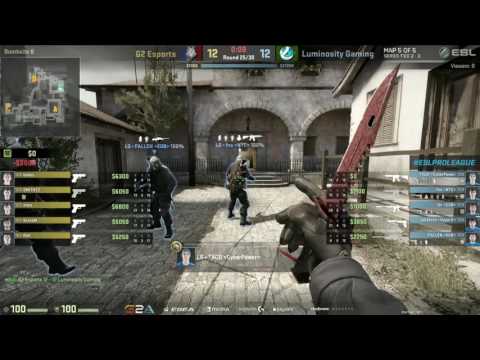 shox insane spray transfer