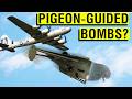 Bombs Guided by Birds? The Unbelievable History of "Project Pigeon"