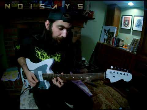 Noisays - Nature Said No (Guitar Playthrough)