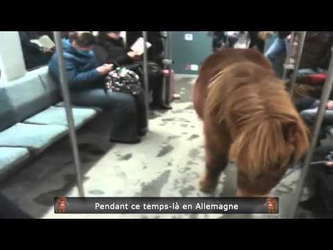 Le Zap de Spion 147