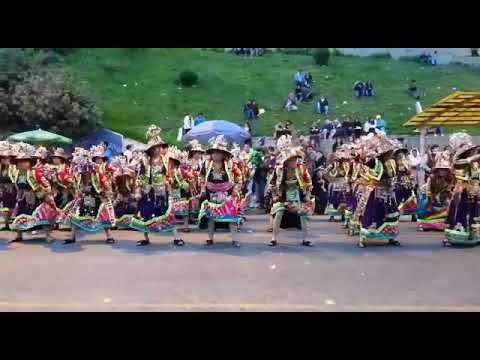 Tinkus kayku jis'ka nata