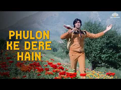 Phulon Ke Dere Hain | अमिताभ बच्चन की मोहब्बत भरी पेशकश | किशोर कुमार का मधुर गीत