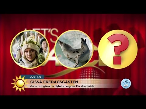 Gissa Let´s dance-deltagaren!  - Nyhetsmorgon (TV4)