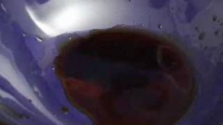 How to Make a Michelada