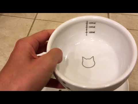 Raised Cat Bowl - Necoichi Raised Cat Food and Water Bowls Arrive for Review - Unboxing Video