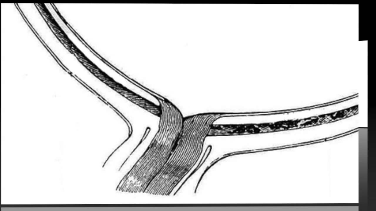 María Luisa Zavala Aznar-23